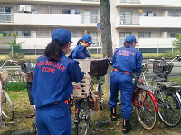 須磨 妙法寺川さくらまつりの様子