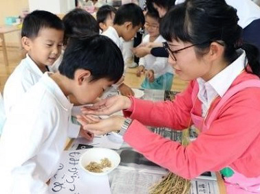 食育活動の様子