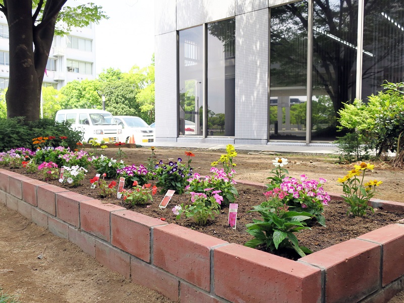 ポートアイランドキャンパスの花壇